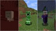 Mobs from which the item can be obtained (Image via Minecraft)